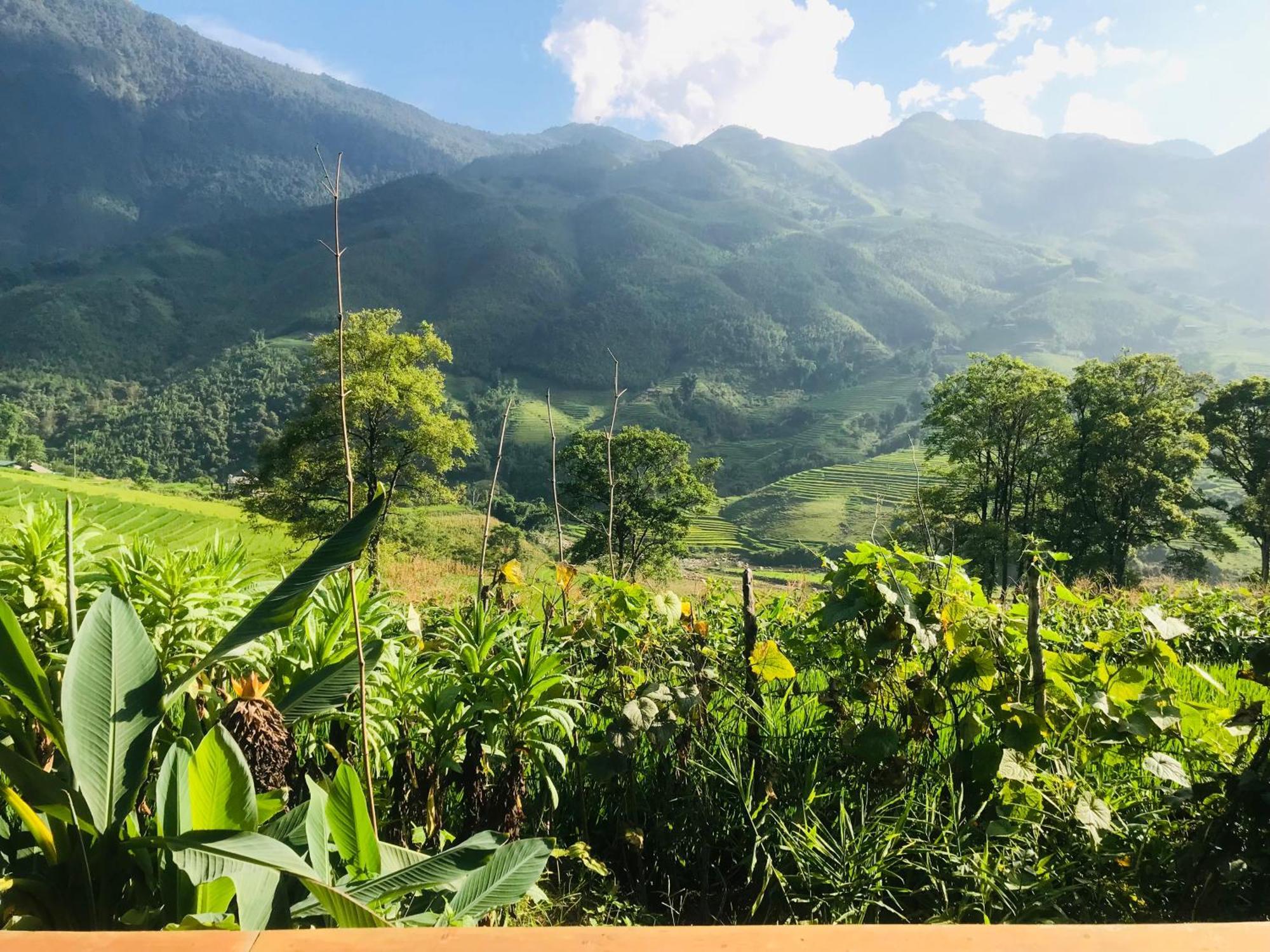 Sapa Hmong Bungalow Homestay חדר תמונה